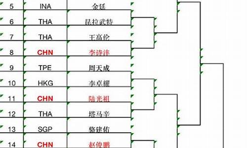 中国羽毛球大师赛签表_羽毛球大师赛 中国
