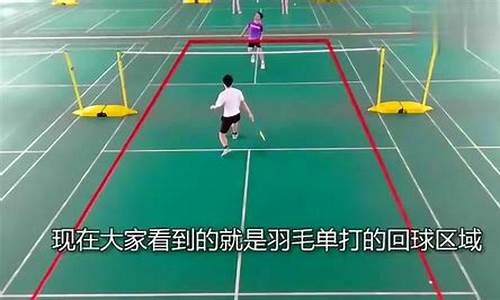 羽毛球比赛规则单打规则图解_羽毛球比赛规则单打规则图解视频
